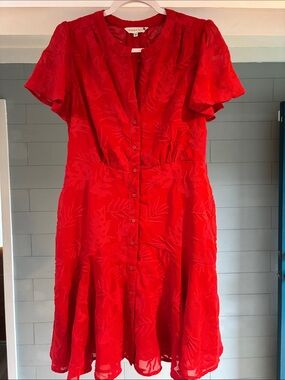 Ranna Gill Scarlette Embroidered Mini Dress